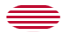 Sons of Liberty (EUA c. 1765, 13 faixas)-Bandeira em vinheta oval