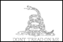 Bandeira de Gadsden (EUA c. 1775) para colorir