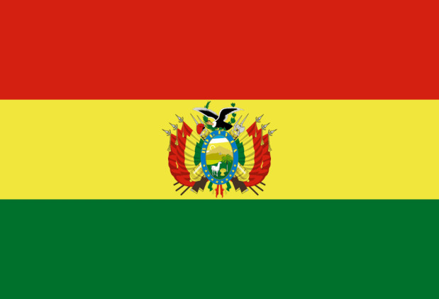 Bandeira Bolívia, Bandeira Bolívia