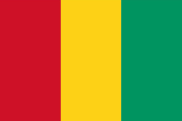 Bandeira Guiné, Bandeira Guiné