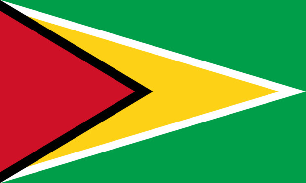 Bandeira Guiana