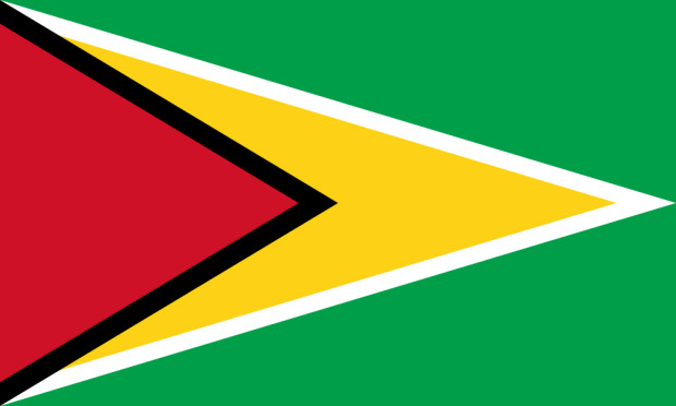 Bandeira Guiana, Bandeira Guiana