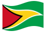 Bandeira animada Guiana