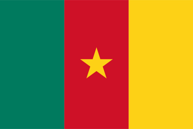 Bandeira Camarões, Bandeira Camarões