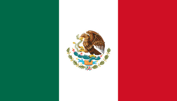 Bandeira México, Bandeira México