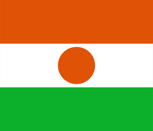 Bandeira Níger, Bandeira Níger