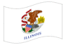 Bandeira animada Illinois
