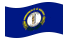 Kentucky-Bandeira ondulante