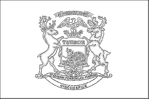 Contorno da bandeira de Michigan para colorir