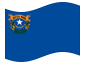 Bandeira animada Nevada