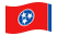Tennessee-Bandeira ondulante