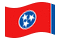 Tennessee-Bandeira ondulante