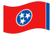 Tennessee-Bandeira ondulante