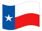 Bandeira animada Texas
