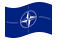 NATO (Organização do Tratado do Atlântico Norte)-Bandeira ondulante