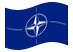 NATO (Organização do Tratado do Atlântico Norte)-Bandeira ondulante