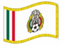 Bandeira animada Federação Mexicana de Futebol