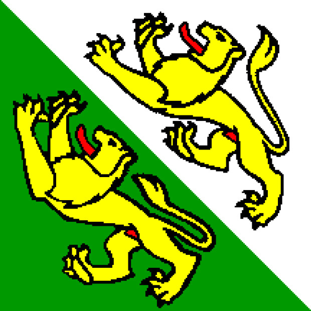 Bandeira Thurgau, Bandeira Thurgau