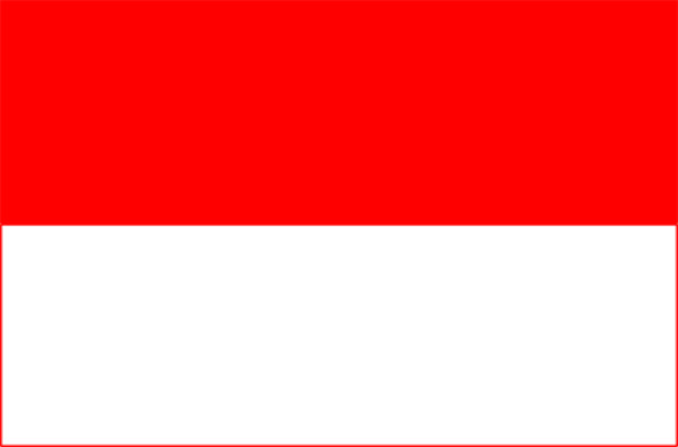 Bandeira Salzburgo (província), Bandeira Salzburgo (província)