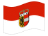 Salzburgo (bandeira de serviço)-Bandeira ondulante
