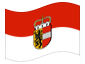 Bandeira animada Salzburgo (bandeira de serviço)