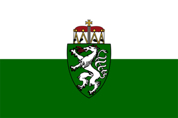 Bandeira Estíria (bandeira de serviço), Bandeira Estíria (bandeira de serviço)