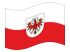 Tirol (bandeira de serviço)-Bandeira ondulante