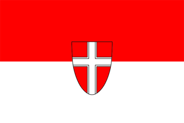 Bandeira Viena (bandeira de serviço), Bandeira Viena (bandeira de serviço)