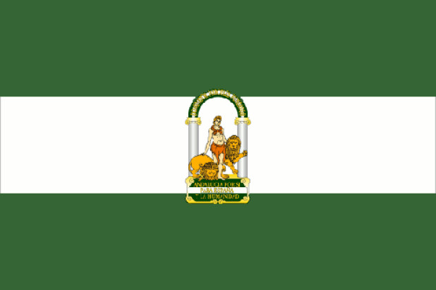 Bandeira Andaluzia, Bandeira Andaluzia