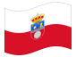 Bandeira animada Cantabria