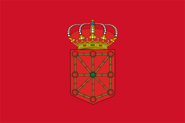 Bandeira Navarra, Bandeira Navarra