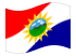 Yaracuy-Bandeira ondulante