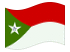 Trujillo-Bandeira ondulante