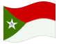 Bandeira animada Trujillo