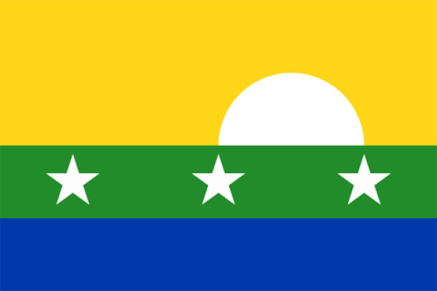 Bandeira Nova Esparta, Bandeira Nova Esparta