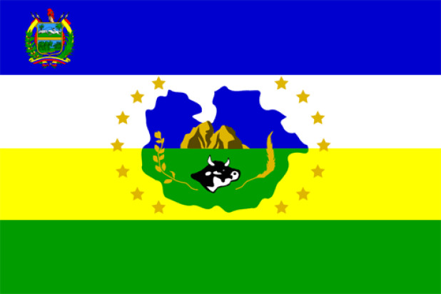 Bandeira Guárico