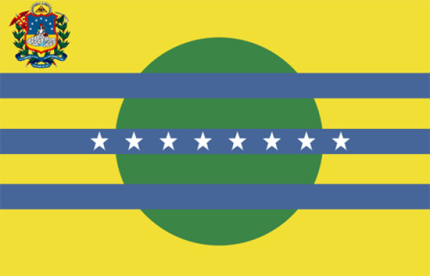 Bandeira Bolívar, Bandeira Bolívar