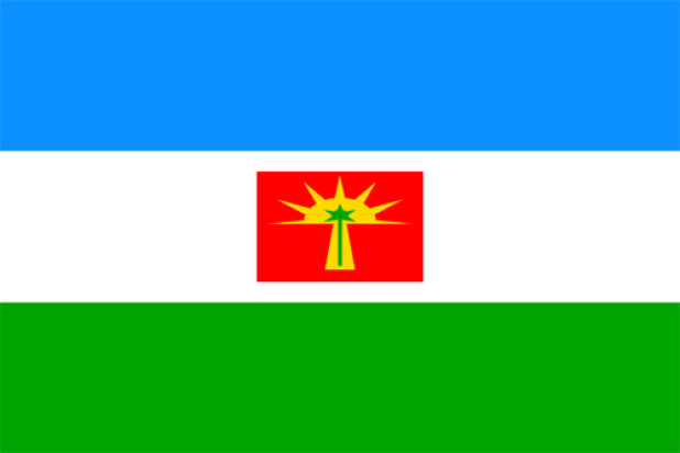 Bandeira Barinas, Bandeira Barinas