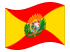 Aragua-Bandeira ondulante