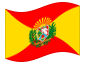 Bandeira animada Aragua