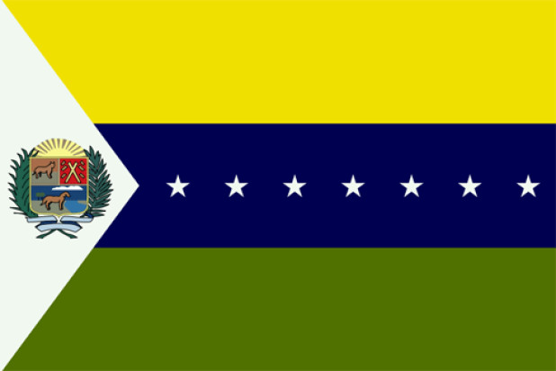 Bandeira Apure, Bandeira Apure