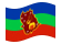 Amazonas-Bandeira ondulante