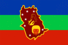 Amazonas-Bandeira retangular