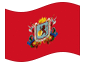 Bandeira animada Caracas