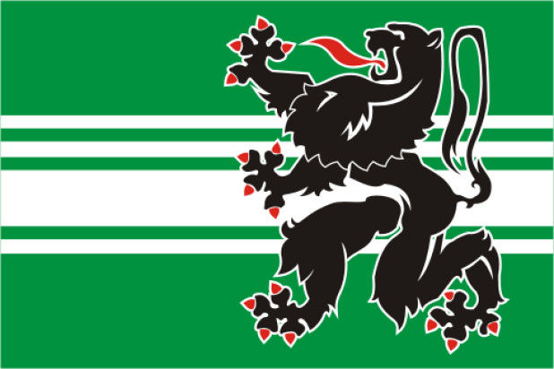Bandeira Flandres Oriental, Bandeira Flandres Oriental