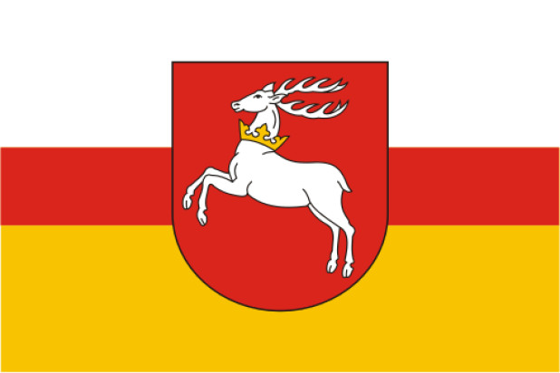 Bandeira Lublin (Lubelskie)