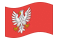 Mazowieckie-Bandeira ondulante