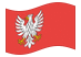 Mazowieckie-Bandeira ondulante