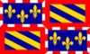 Gráficos de bandeira Borgonha (Bourgogne)