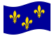 Île-de-France-Bandeira ondulante